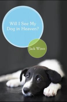 Читать Will I See My Dog in Heaven? - Jack Wintz