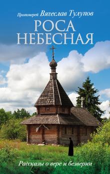 Читать Роса небесная. Рассказы о вере и безверии - Протоиерей Вячеслав Тулупов