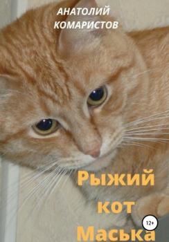 Читать Рыжий кот Маська - Анатолий Комаристов