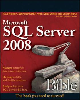 Читать Microsoft SQL Server 2008 Bible - Paul  Nielsen
