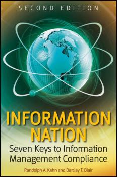 Читать Information Nation - Randolph  Kahn