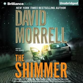 Читать Shimmer - David  Morrell