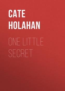 Читать One Little Secret - Cate Holahan