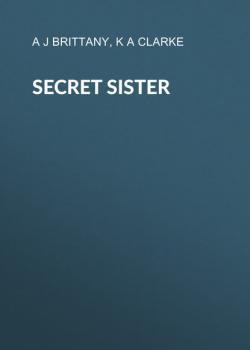 Читать Secret Sister - K A Clarke
