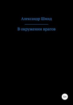 Читать В окружении врагов - Александр Витальевич Шмид