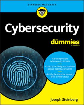 Читать Cybersecurity For Dummies - Joseph Steinberg