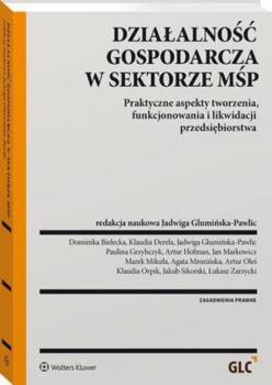 Читать Działalność gospodarcza w sektorze MŚP - Jadwiga Glumińska-Pawlic