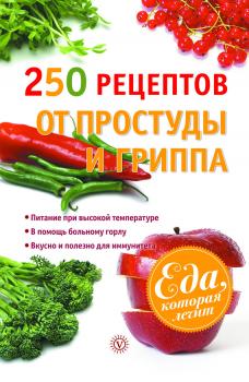 Читать 250 рецептов от простуды и гриппа - Виктор Ильин