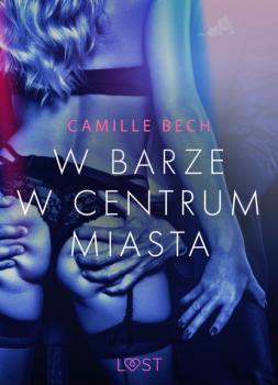 Читать W barze w centrum miasta - opowiadanie erotyczne - Camille Bech
