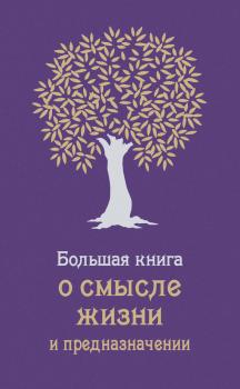 Читать Большая книга о смысле жизни и предназначении - Андрей Жалевич