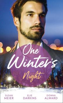 Читать One Winter's Night - Susan Meier