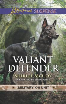 Читать Valiant Defender - Shirlee McCoy