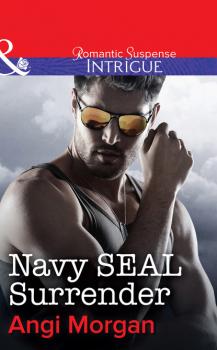 Читать Navy SEAL Surrender - Angi Morgan