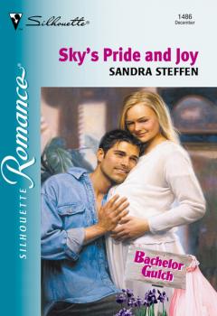 Читать Sky's Pride And Joy - Sandra Steffen