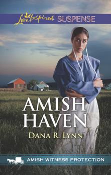 Читать Amish Haven - Dana R. Lynn