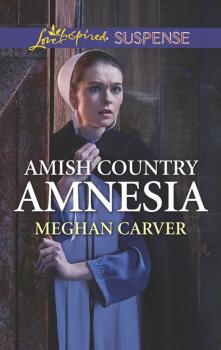 Читать Amish Country Amnesia - Meghan Carver