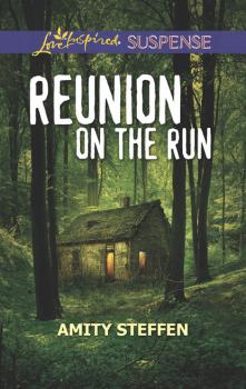 Читать Reunion On The Run - Amity Steffen