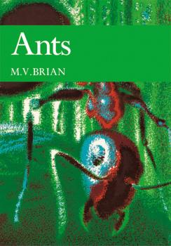 Читать Ants - M. V. Brian