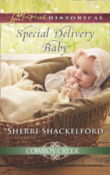 Читать Special Delivery Baby - Sherri Shackelford