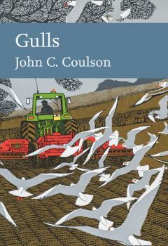 Читать Gulls - Professor John C. Coulson