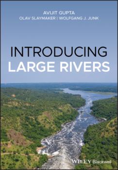 Читать Introducing Large Rivers - Avijit Gupta
