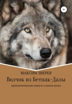 Читать Волчок из Бетпак-Далы - Максим Дмитриевич Зверев