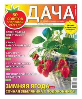 Читать Дача Pressa.ru 01-2021 - Редакция газеты Дача Pressa.ru