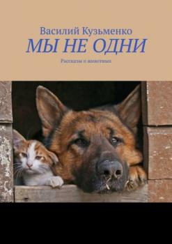 Читать МЫ НЕ ОДНИ. Рассказы о животных - Василий Кузьменко
