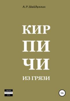 Читать Кирпичи из грязи - Айдар Ришатович Шайдуллин
