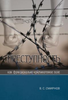 Читать Преступность как функционально-криминогенное поле - Валерий Смирнов