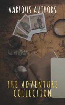 Читать The Adventure Collection: Treasure Island, The Jungle Book, Gulliver's Travels, White Fang... - Говард Пайл