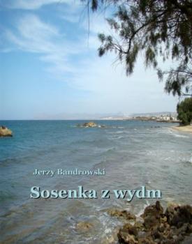 Читать Sosenka z wydm - Jerzy Bandrowski