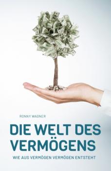 Читать Die Welt des Vermögens - Ronny Wagner