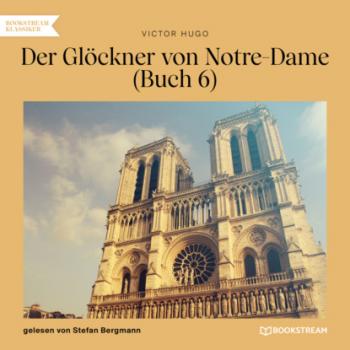 Читать Der Glöckner von Notre-Dame, Buch 6 (Ungekürzt) - Victor Hugo