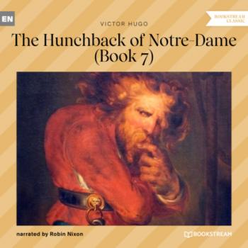 Читать The Hunchback of Notre-Dame, Book 7 (Unabridged) - Victor Hugo