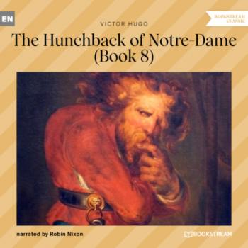 Читать The Hunchback of Notre-Dame, Book 8 (Unabridged) - Victor Hugo