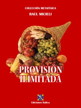 Читать Provisión Ilimitada - Raúl Micieli
