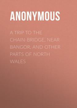 Читать A Trip to the Chain-Bridge, Near Bangor, and Other Parts of North Wales - Anonymous