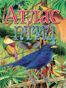 Читать Атлас птиц - В. Г. Бабенко