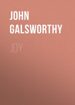 Читать Joy - John Galsworthy