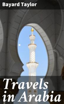 Читать Travels in Arabia - Taylor Bayard