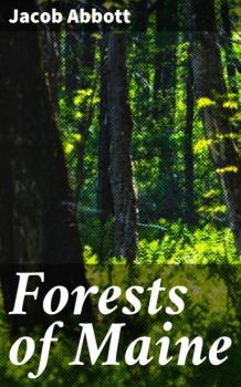 Читать Forests of Maine - Jacob Abbott