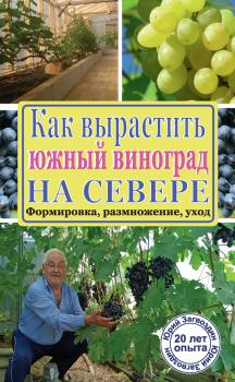 Читать Как вырастить южный виноград на севере - Юрий Загвоздин