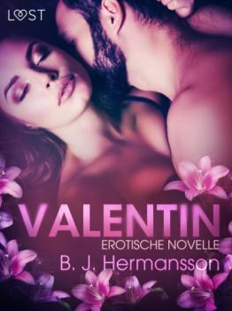 Читать Valentin: Erotische Novelle - B. J. Hermansson