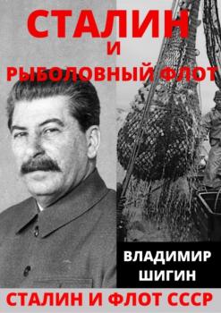 Читать Сталин и рыболовный флот СССР - Владимир Шигин