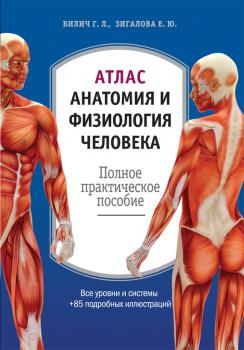Читать Атлас: анатомия и физиология человека. Полное практическое пособие - Г. Л. Билич