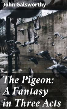 Читать The Pigeon: A Fantasy in Three Acts - John Galsworthy