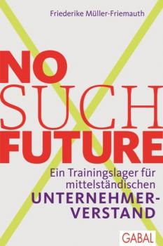 Читать No such Future - Friederike Müller-Friemauth