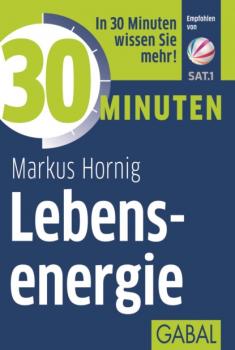 Читать 30 Minuten Lebensenergie - Markus Hornig