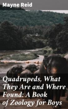 Читать Quadrupeds, What They Are and Where Found: A Book of Zoology for Boys - Майн Рид
